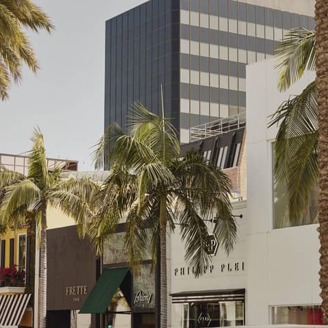 Luxurious Rodeo Drive storefronts adorned with palm trees, blending modern architecture and classic elegance under a sunny sky.