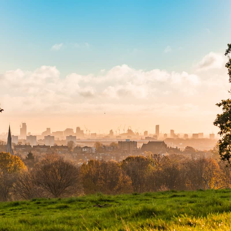 A scenic view of London's skyline at sunrise, framed by autumnal trees and a grassy hill, radiating warm hues.