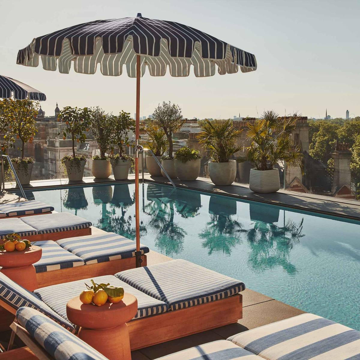 Lounge chairs and striped umbrellas beside a rooftop pool, with potted plants and a city view.