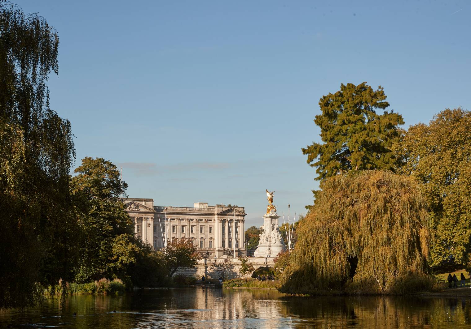 A scenic view of Buckingham Palace and the Victoria Memorial, framed by lush greenery and reflected in a tranquil pond.