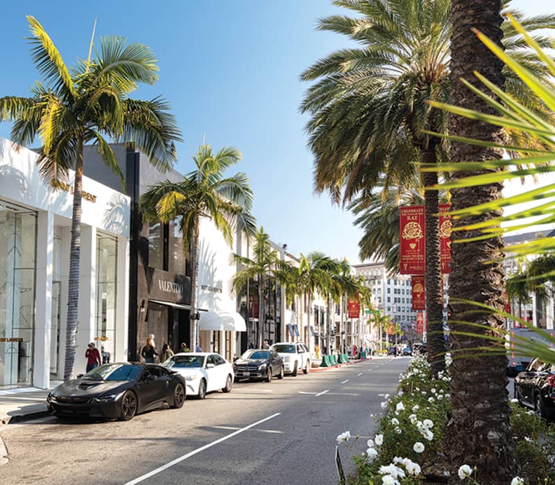 Shoppers and luxury cars line palm-tree-filled Rodeo Drive, with designer boutiques under clear blue skies.